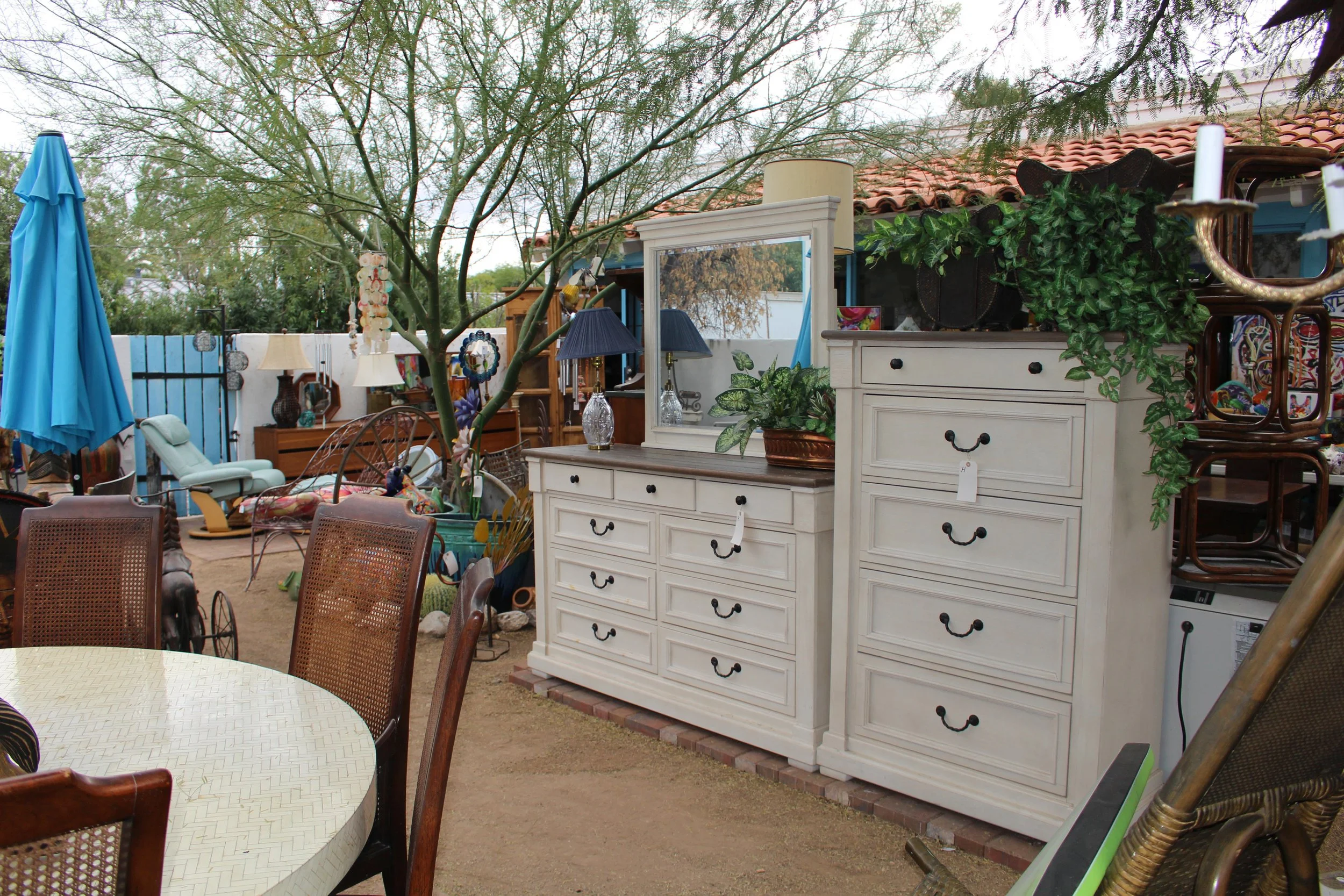 2023 1125 01 016.jpeg