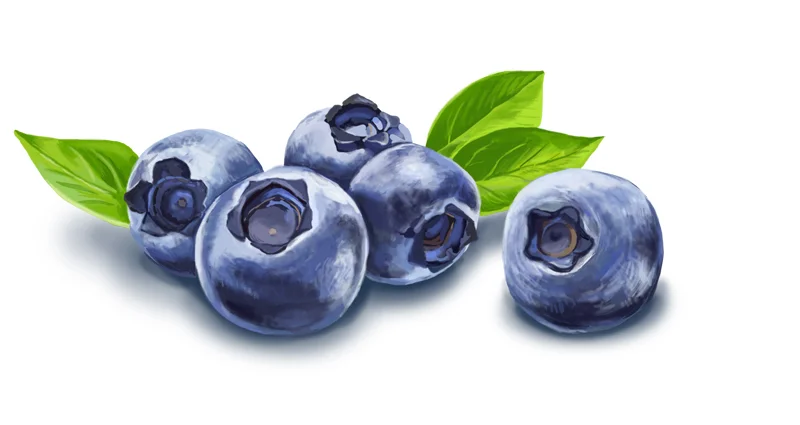 blueberry_final.jpg