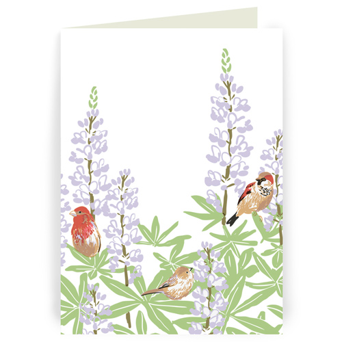 bird7.jpg