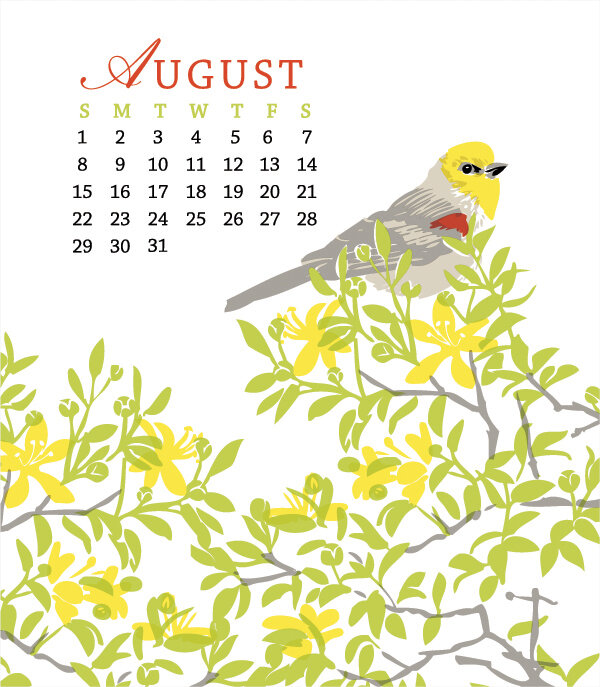 bird calendar 2021