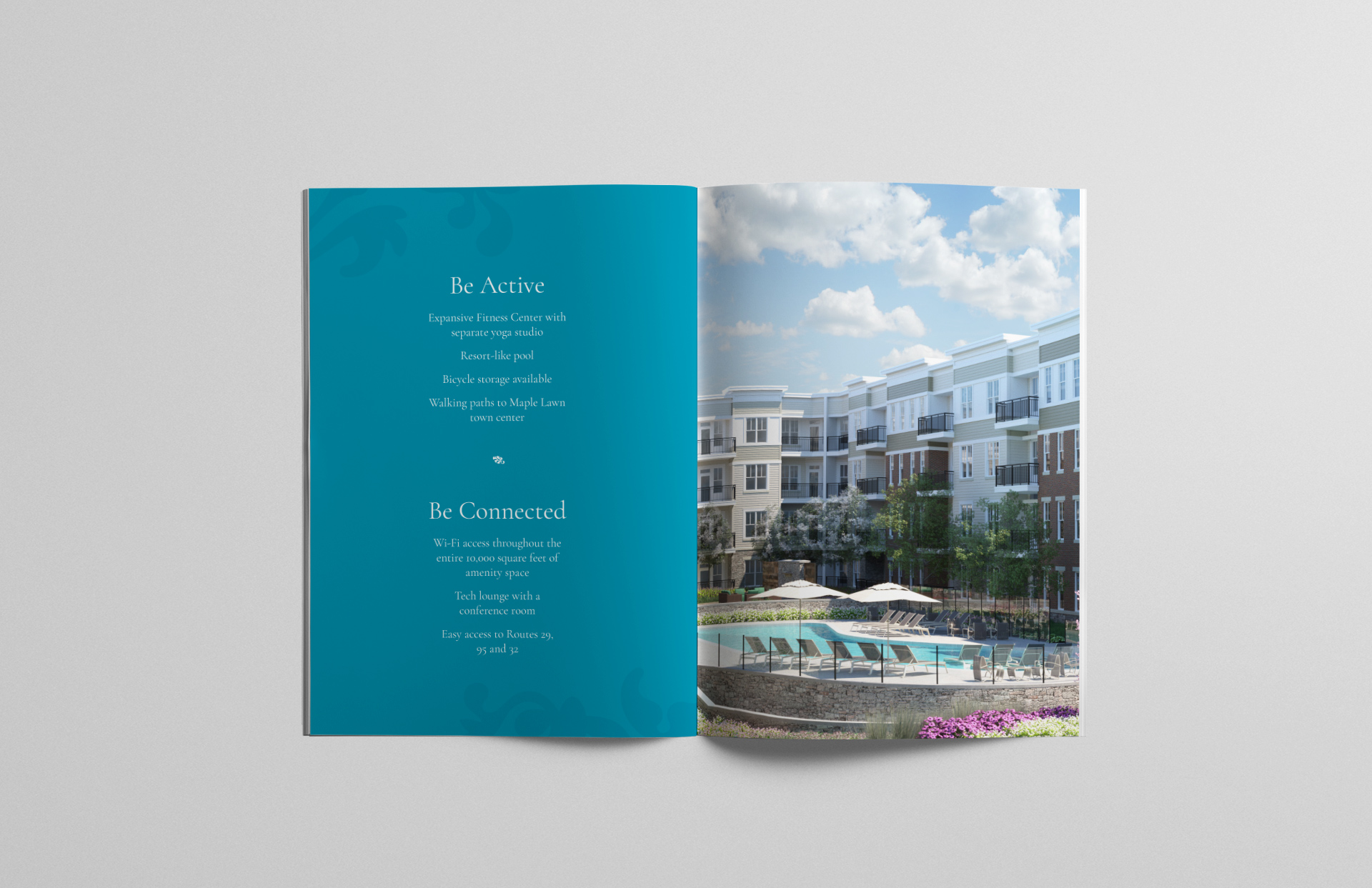 TheVine_brochure_spread_04.jpg