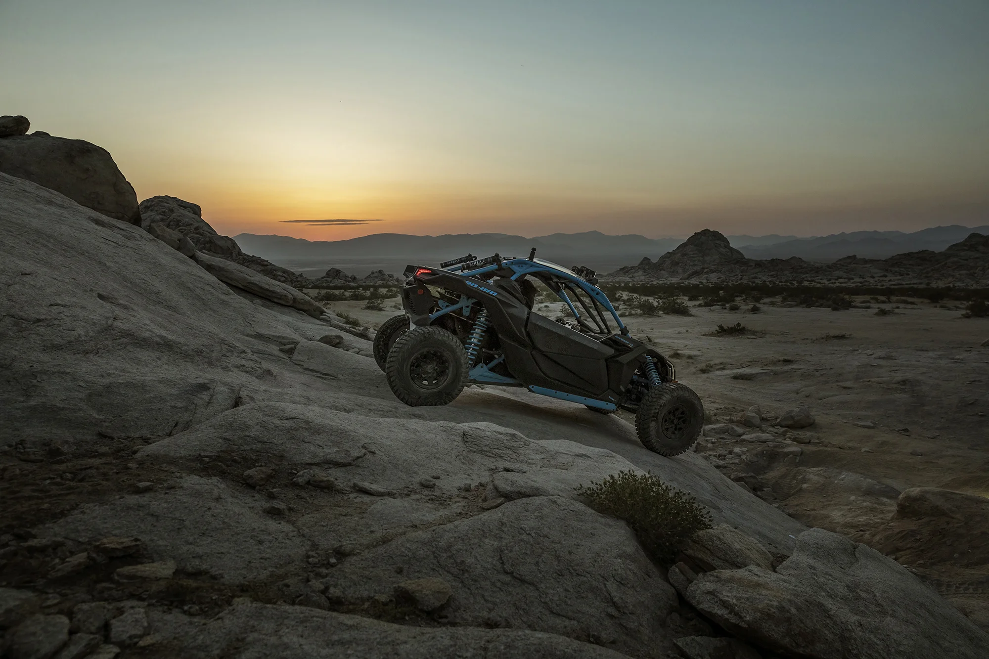 Carbon Blue Crawling QQ8A8003 copy.jpg