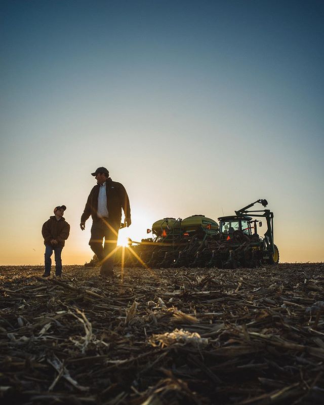 Syngenta x Nebraska #4