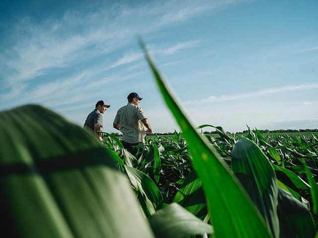 Happy #nationalfarmersday to all the hardworking men and women out there.
.
.
Syngenta x Nebraska pt2 #4