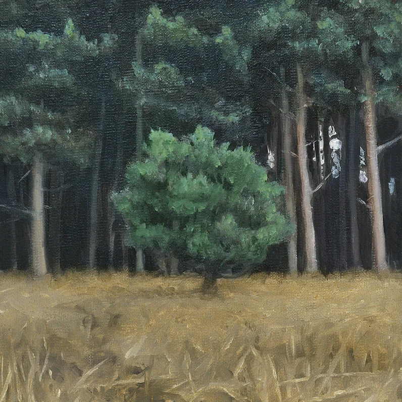 Myth I: This is the Place - John Brennan, 2012, oil on canvas, 20 x 20 x 4 cm