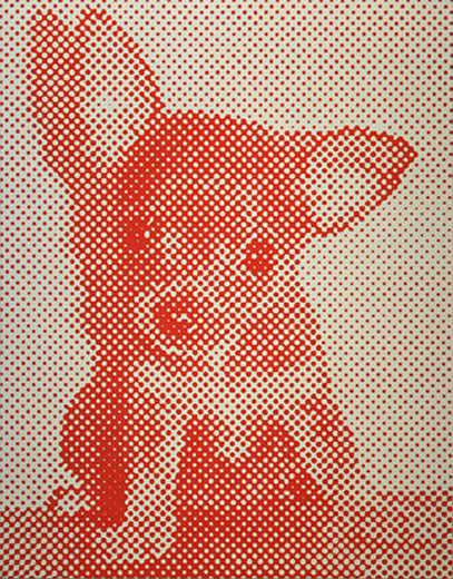 Red Chihuahua