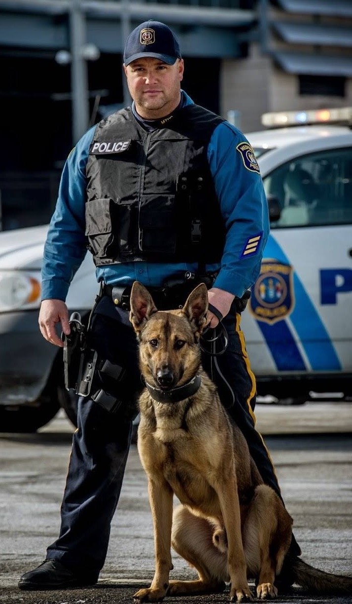 K9 Bruno joins Medford Police Department