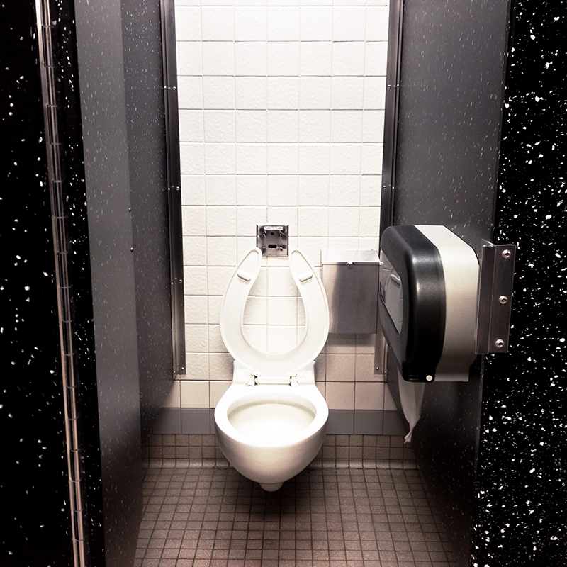 I was really fixated on this toilet. Rest area - NY