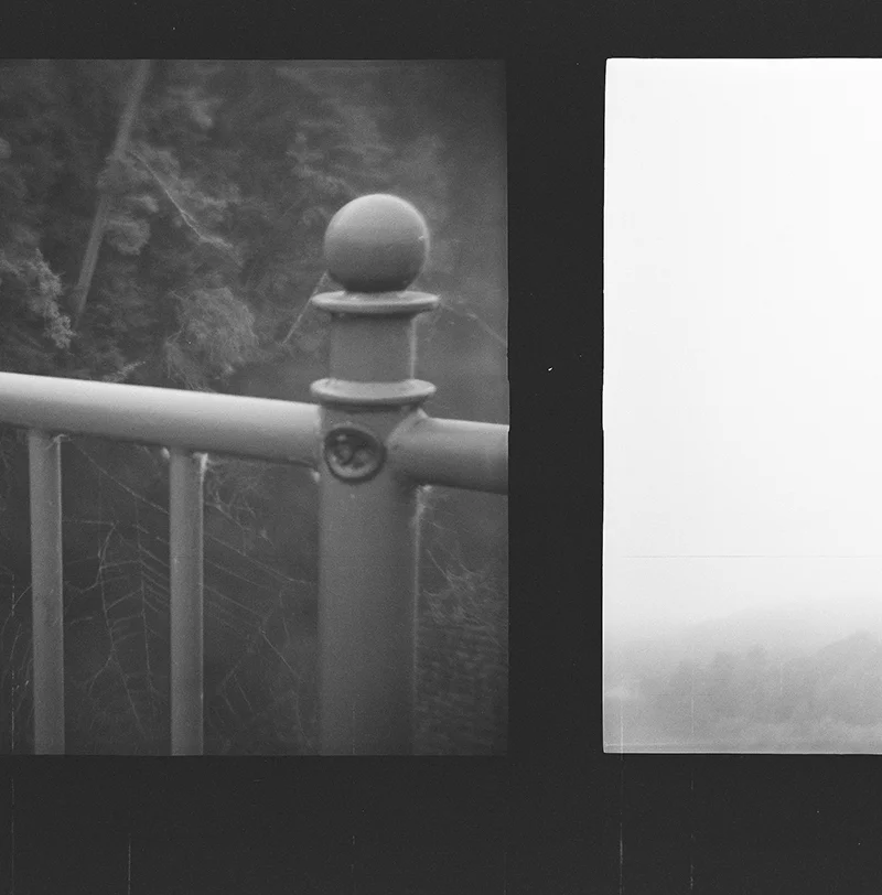 Hanover, NH - 120 film in Diana F+