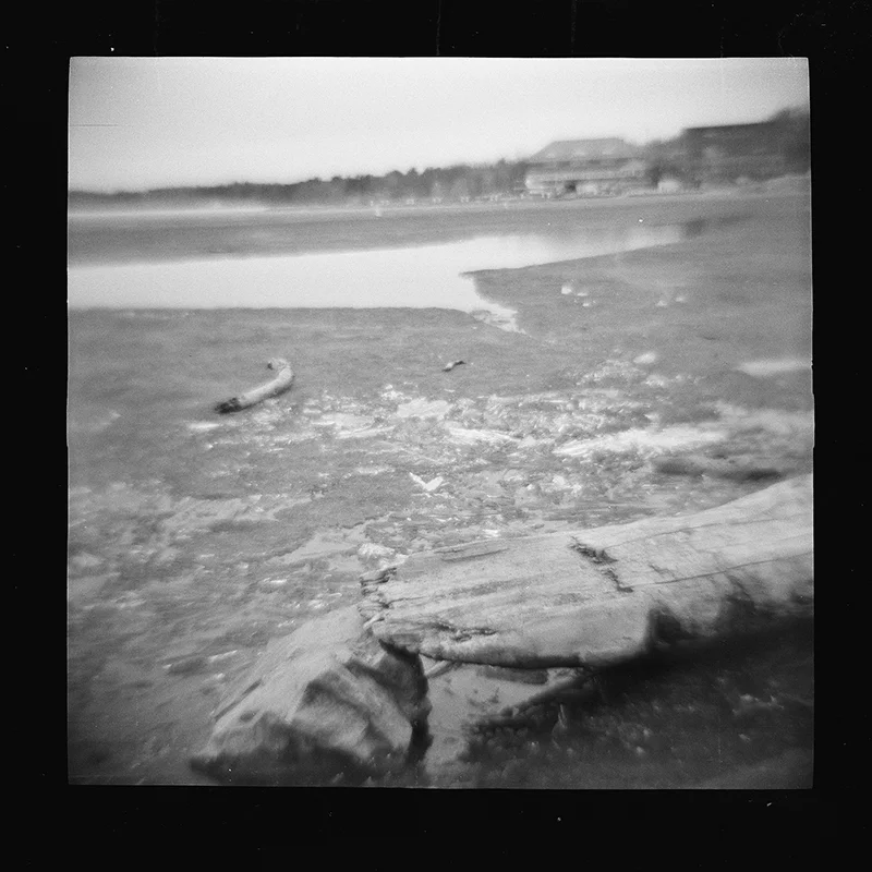 Burlington, VT - 120 film in Diana F+