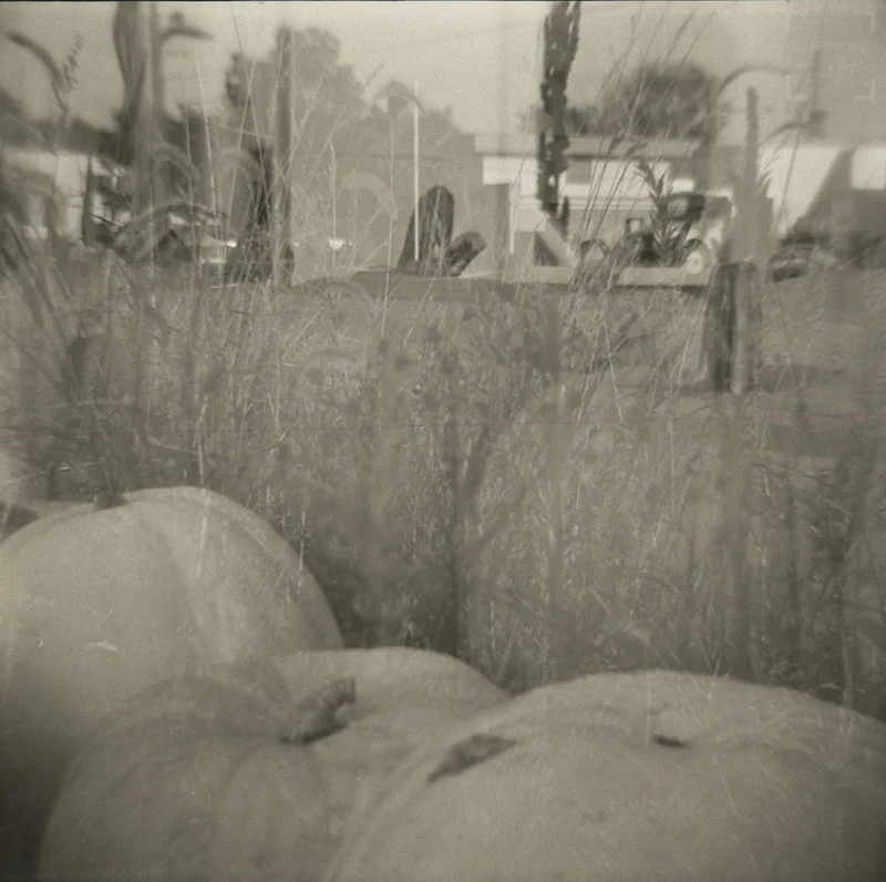 Diana F+ - Ultrafine Extreme 400