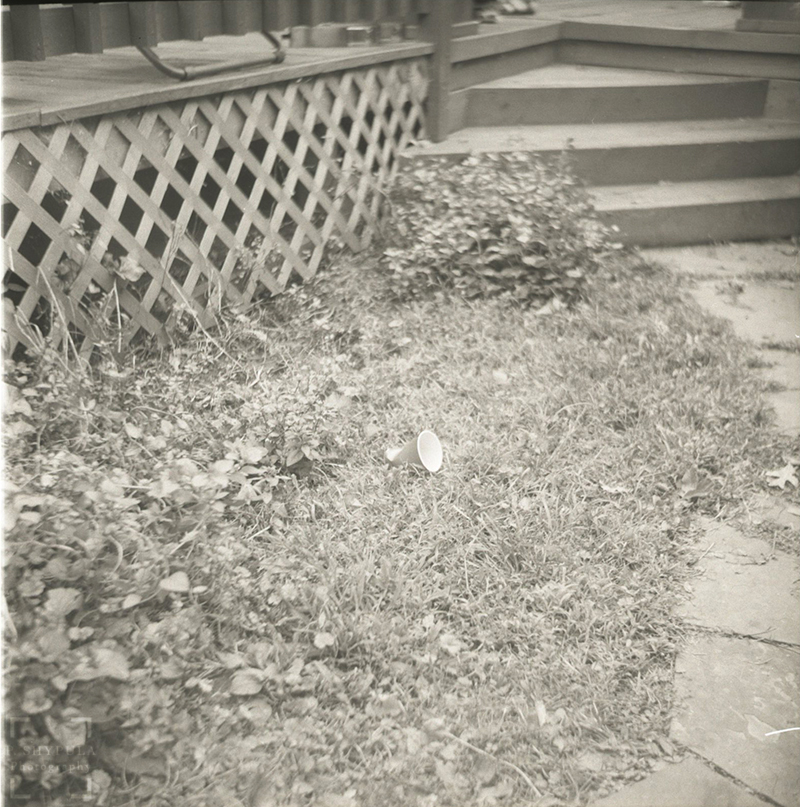 Lubitel 166B - Ultrafine Extreme 400