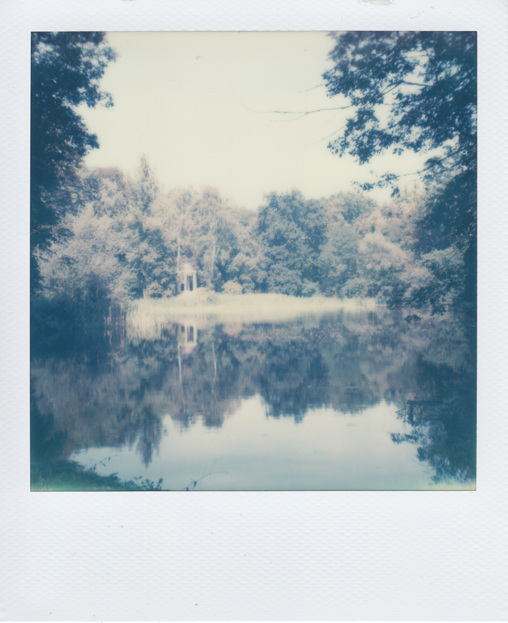 Arboretum in Wroclaw