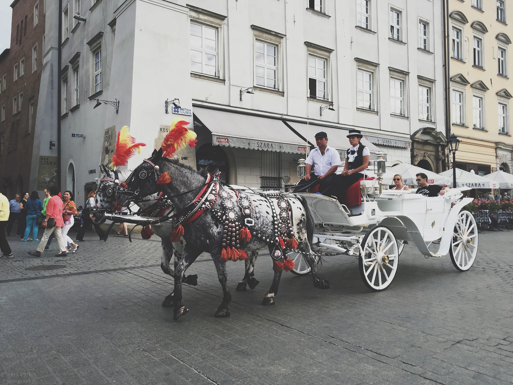 Horse drawn carriage in Krakow