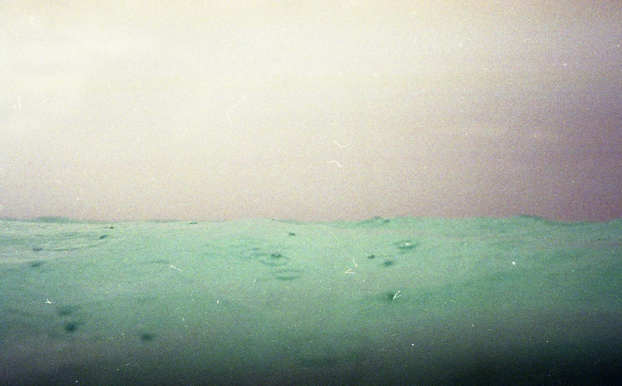 img168_CROP_SMALL.jpg