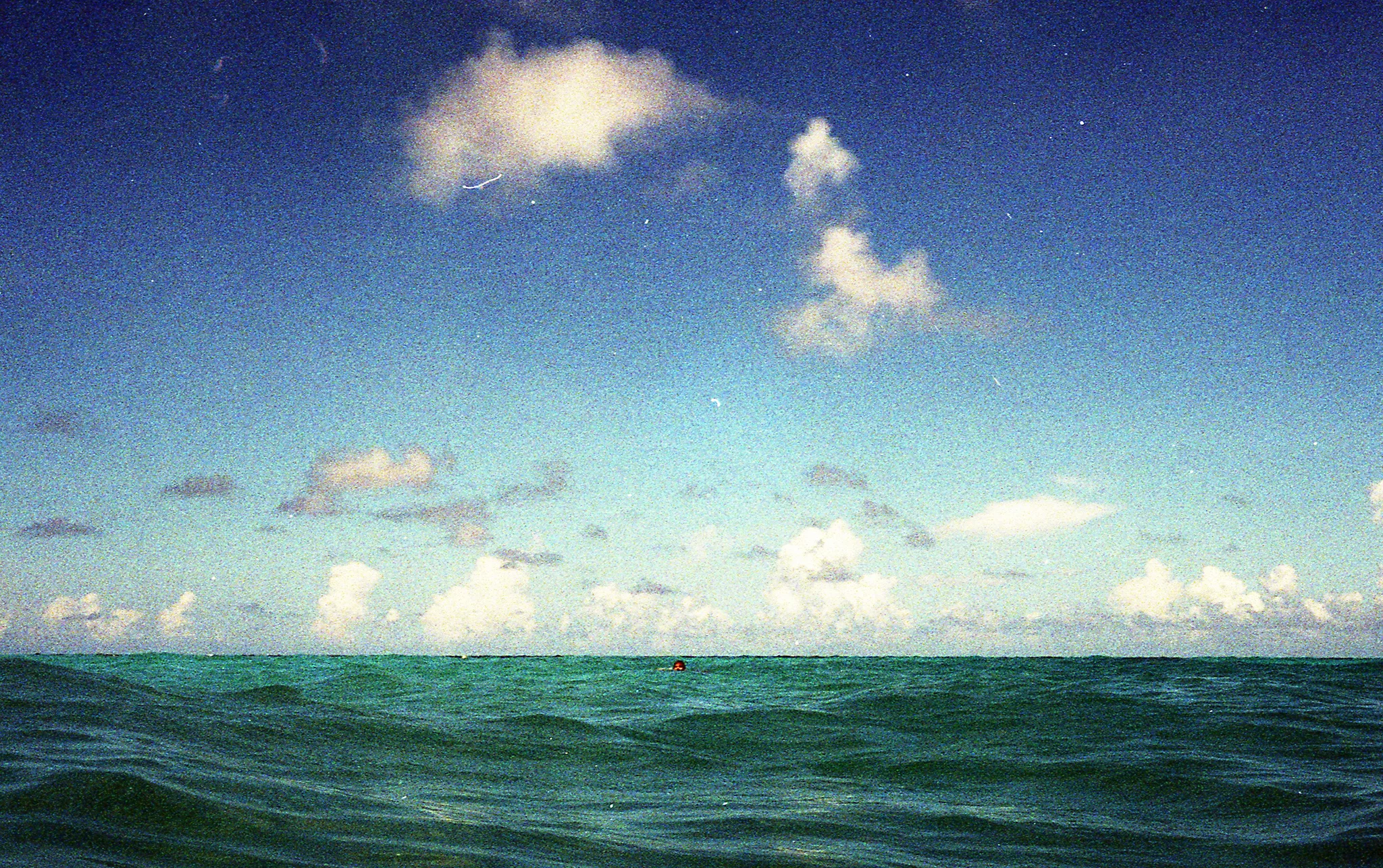 img190_CROP_SMALL.jpg