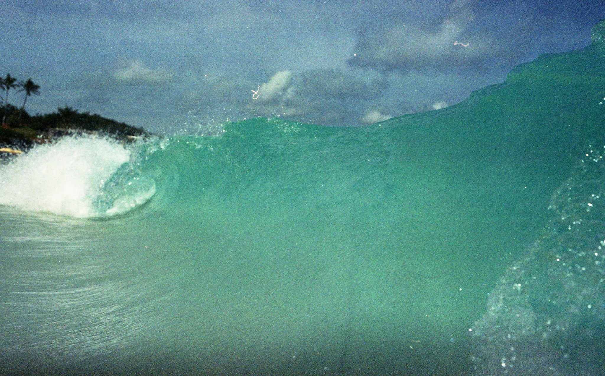 img195_SMALL.jpg