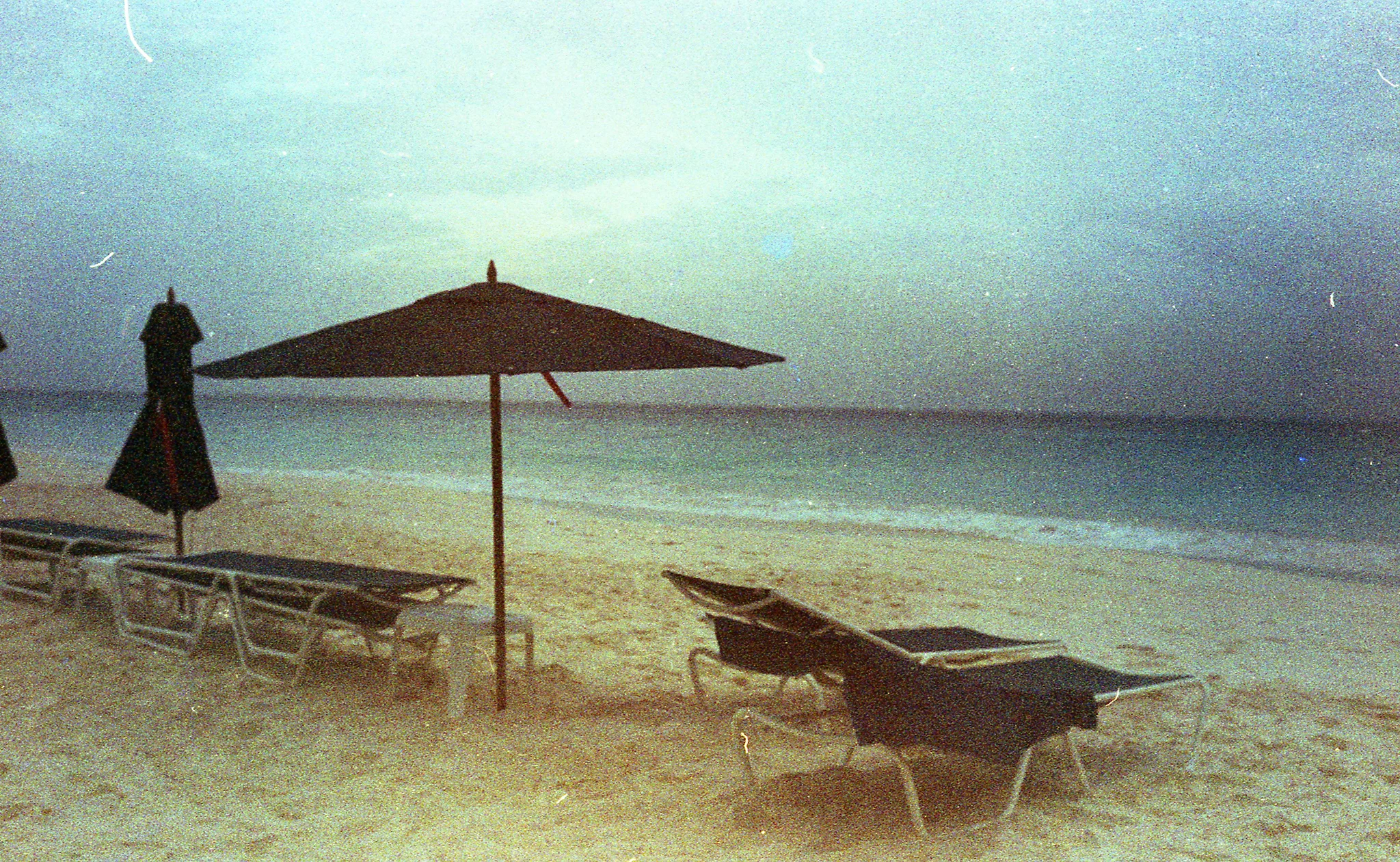 img204_SMALL.jpg
