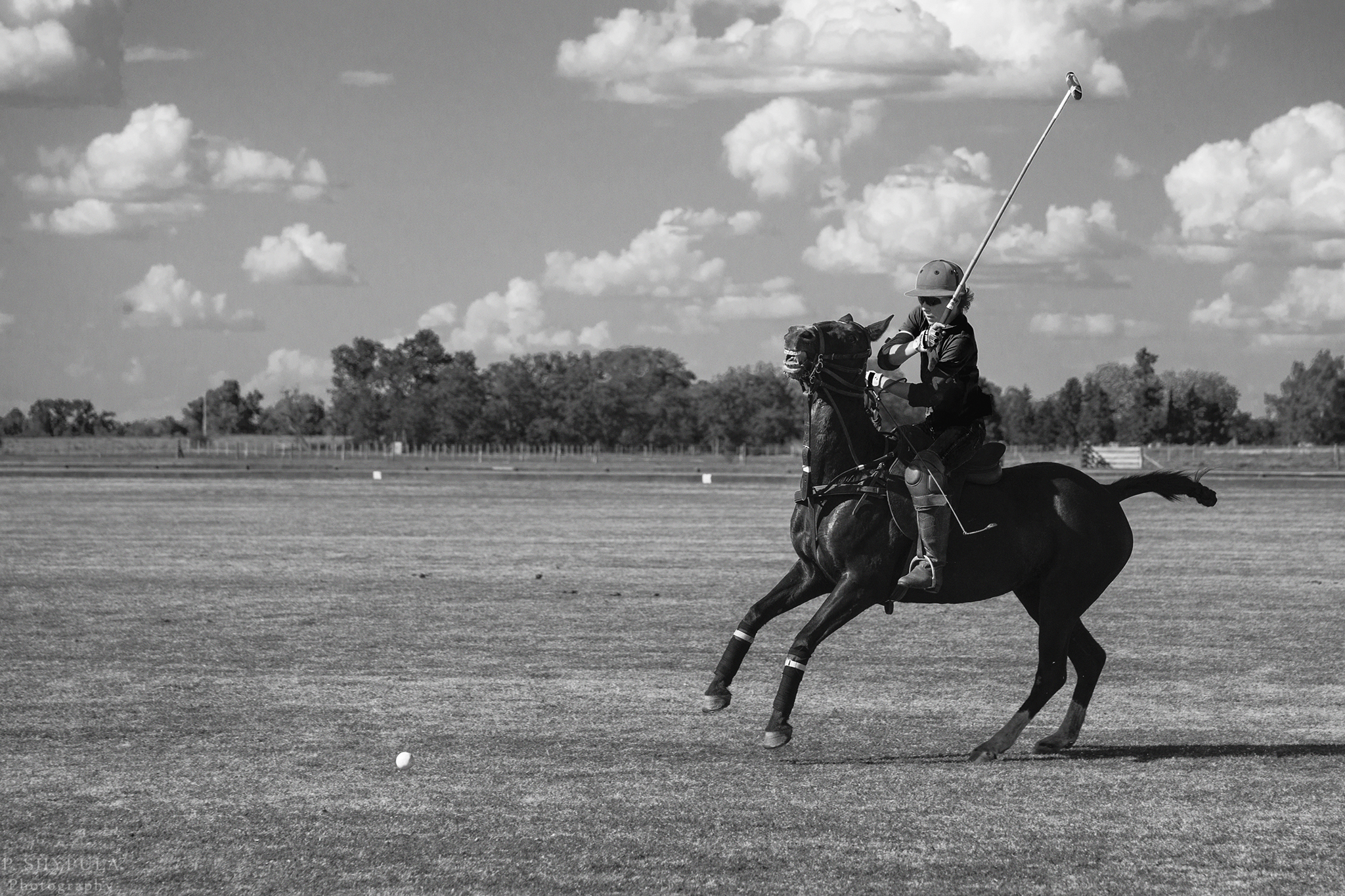 501_CROP_2_BW_SMALL.jpg