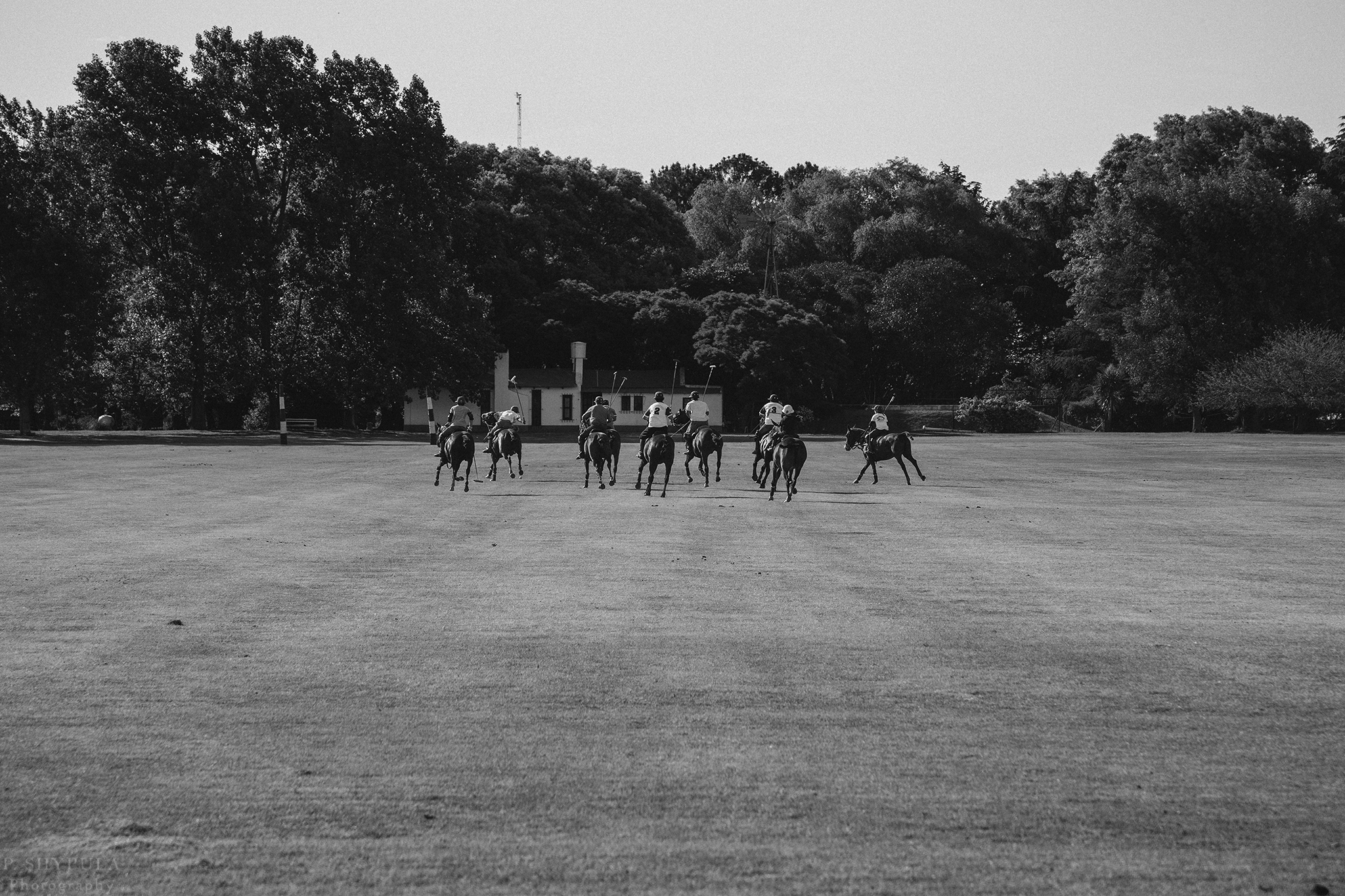 701_BW_CROP_SMALL.jpg