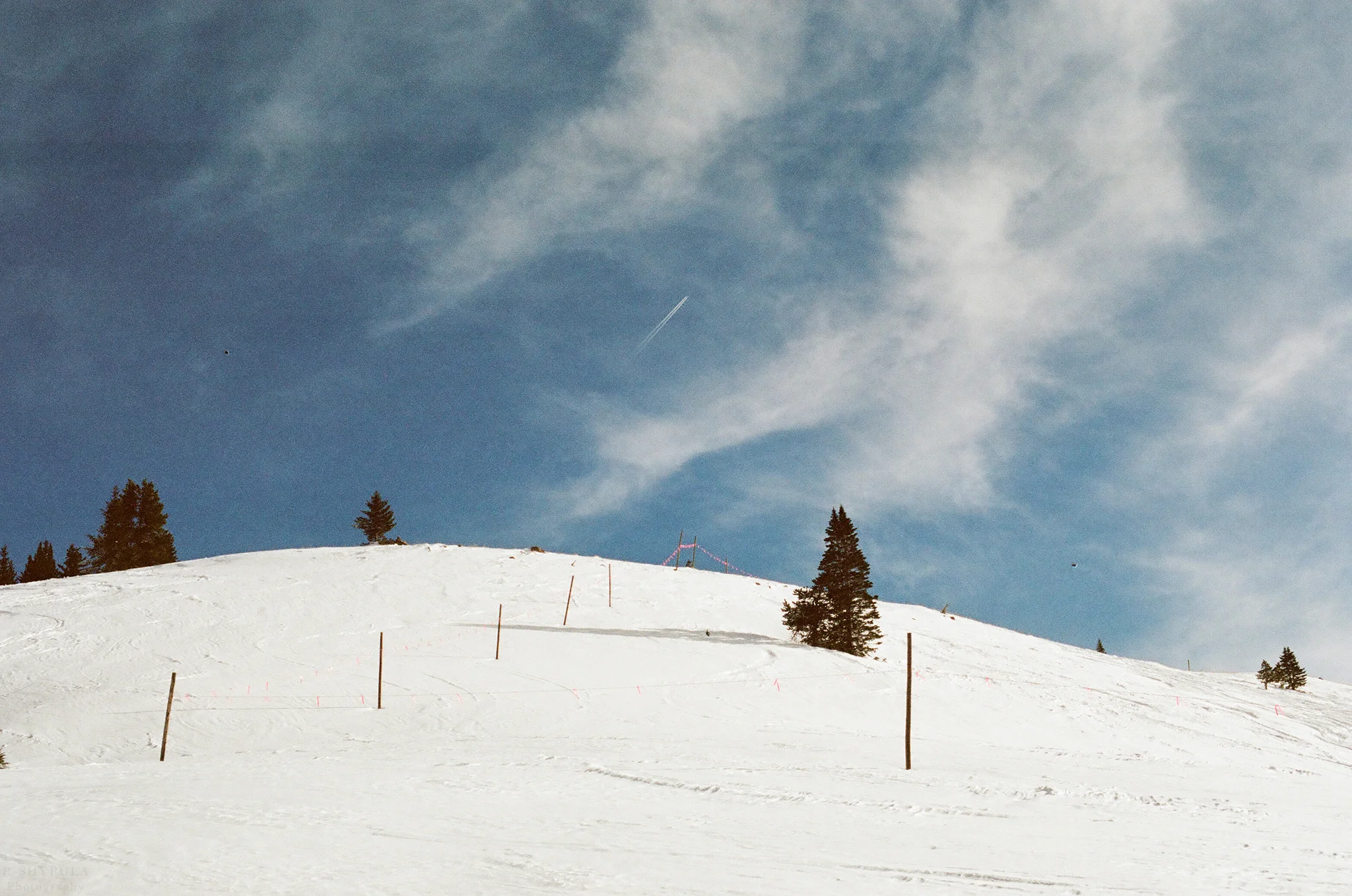 15900010_SMALL.jpg