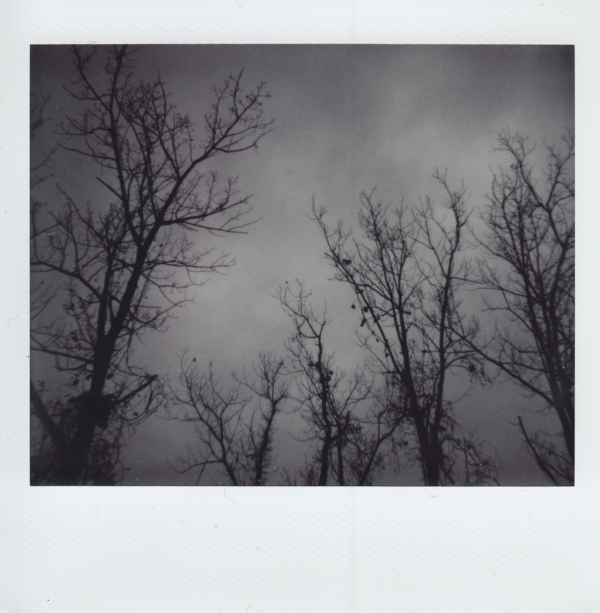 IMG_0002_SMALL.png
