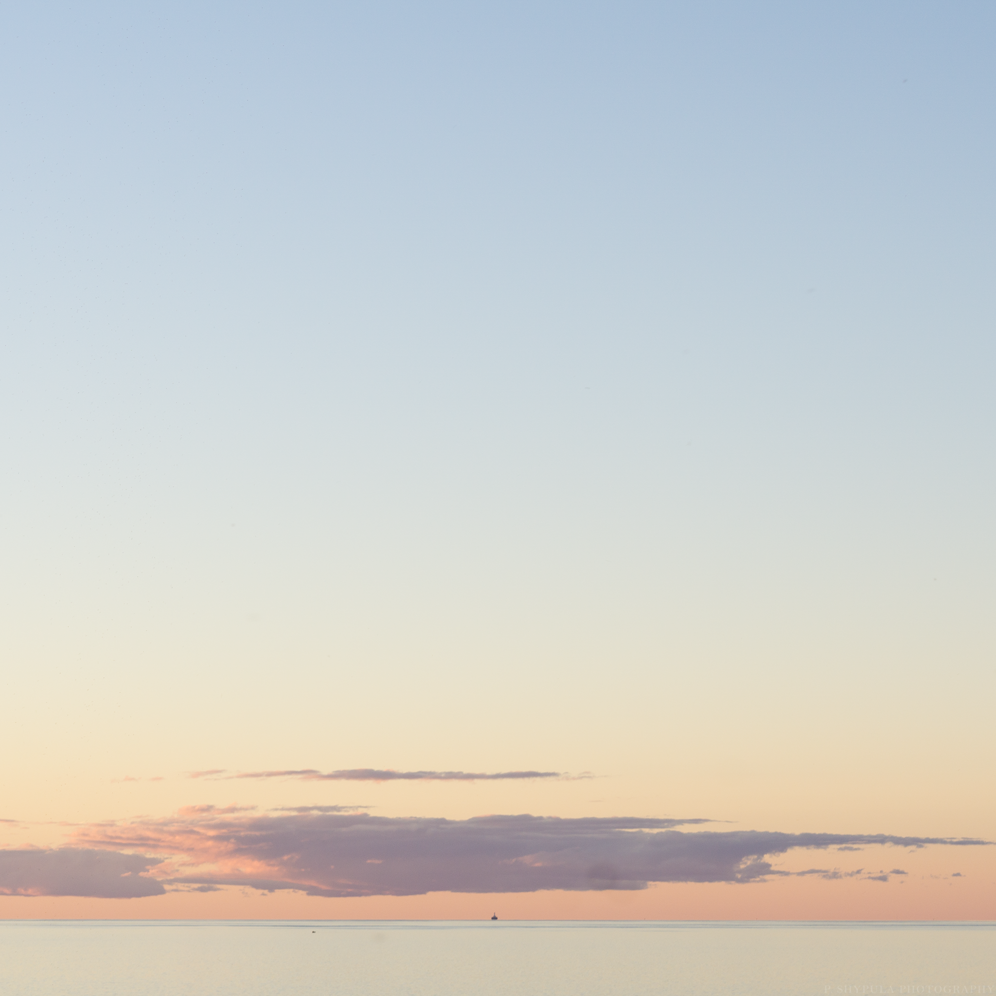 DSC04171_SMALL.png