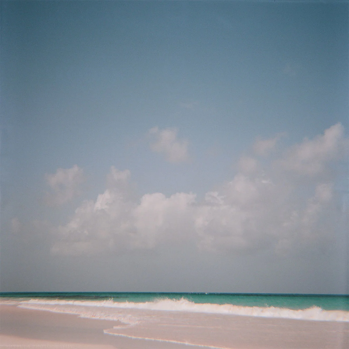 Diana F+ with Expired Kodak Portra 160