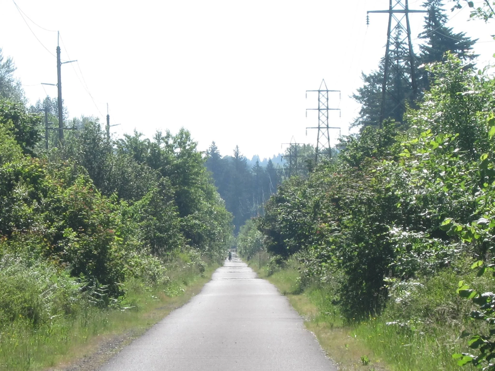 Springwater Corridor Trail, Portland to Boring Oregon.