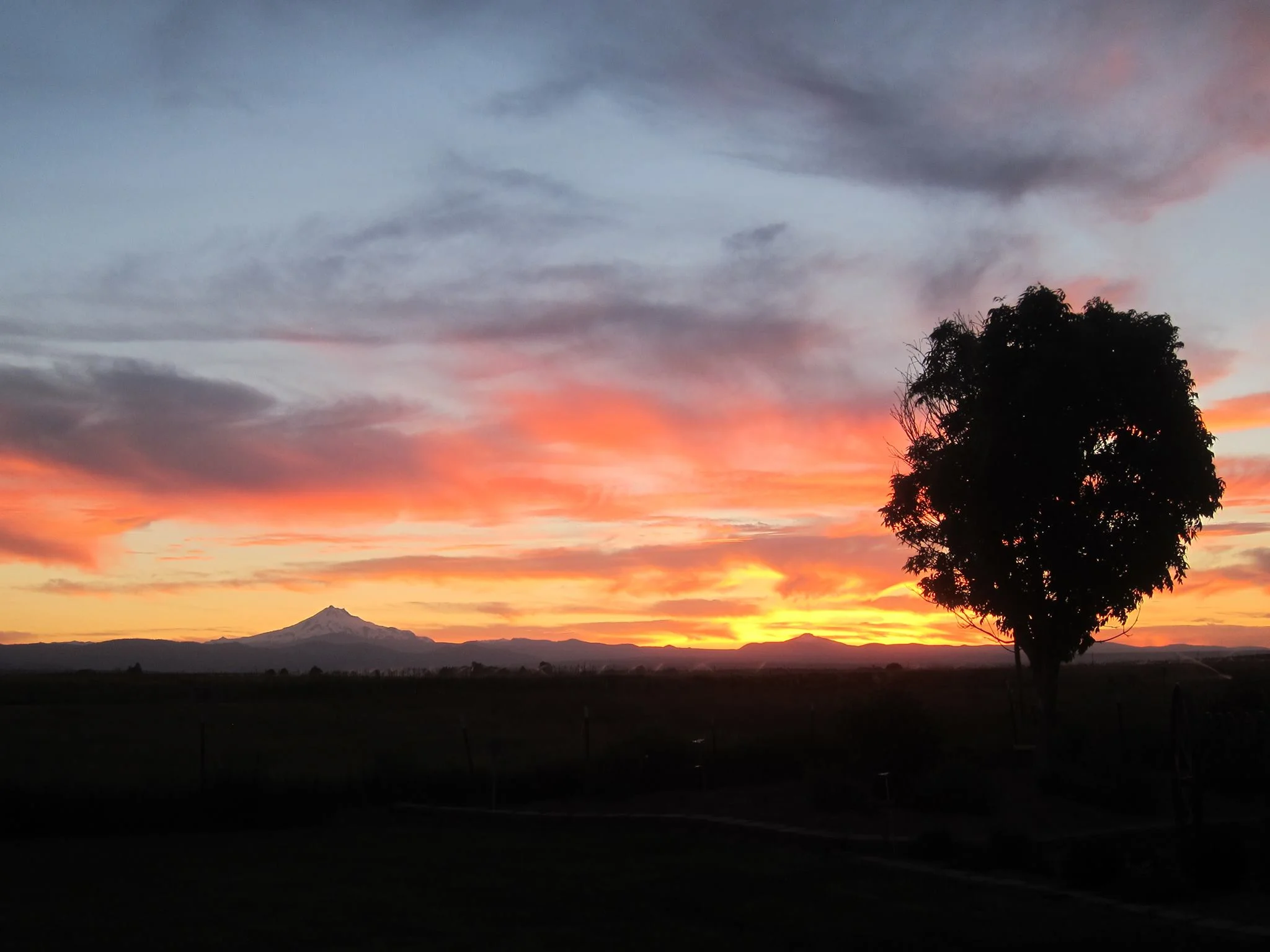 End to a great day- sunset from Lola and Mark's home, Mt Jefferson
