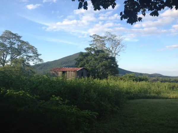 View from Wentworth backyard, in Buchanan
