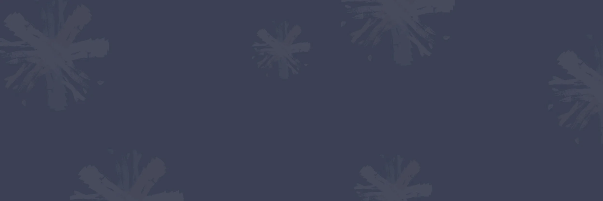 03000mm x 1000mm Banner.jpg