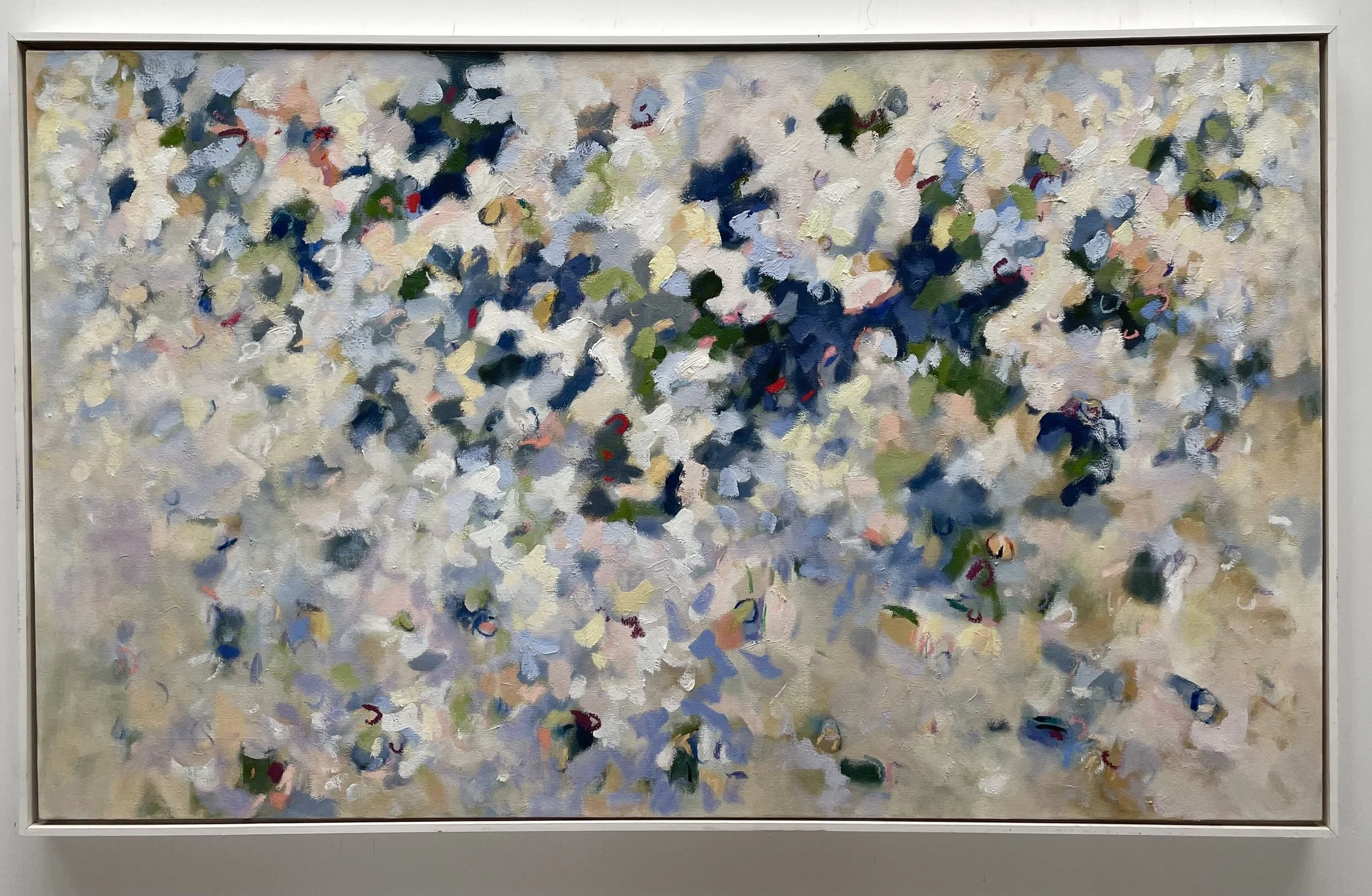 NUANCE SKY