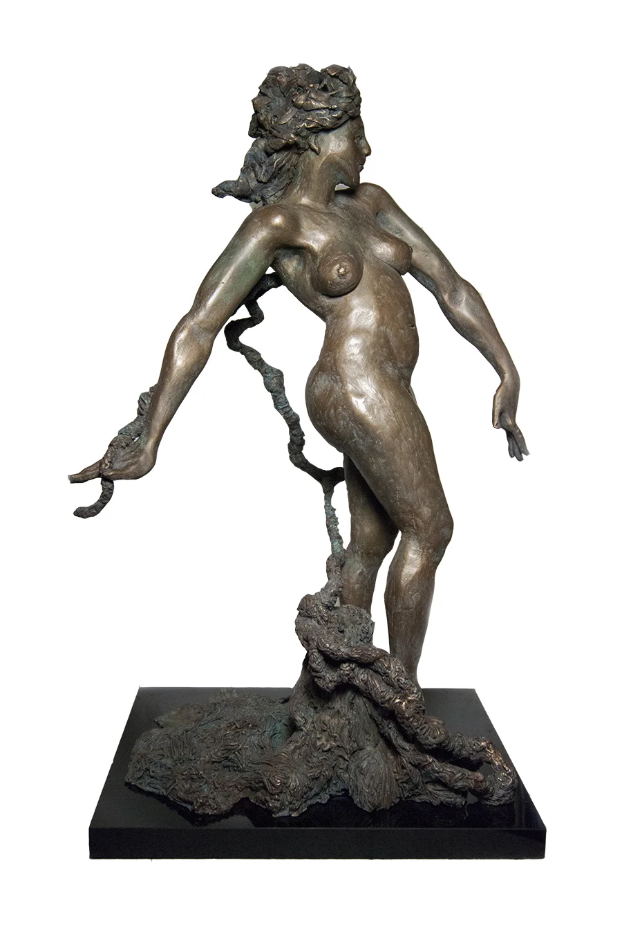 The Sanctity of Nature, 2012