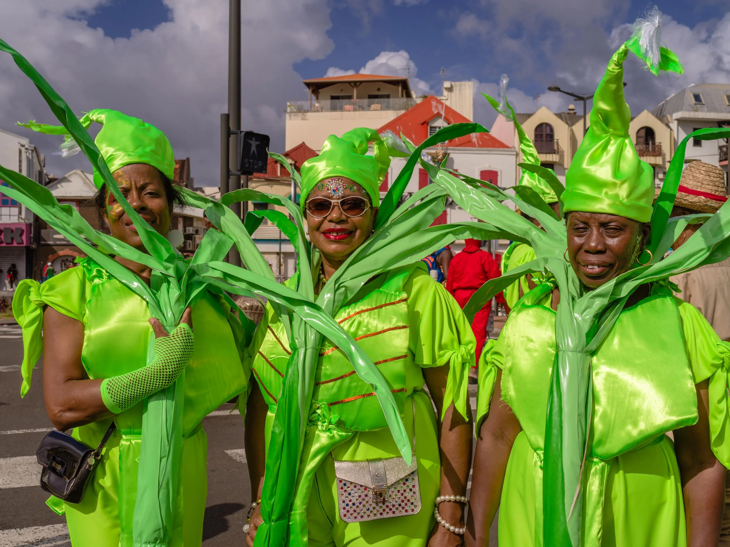 180213_SK_Martinique-24.jpg