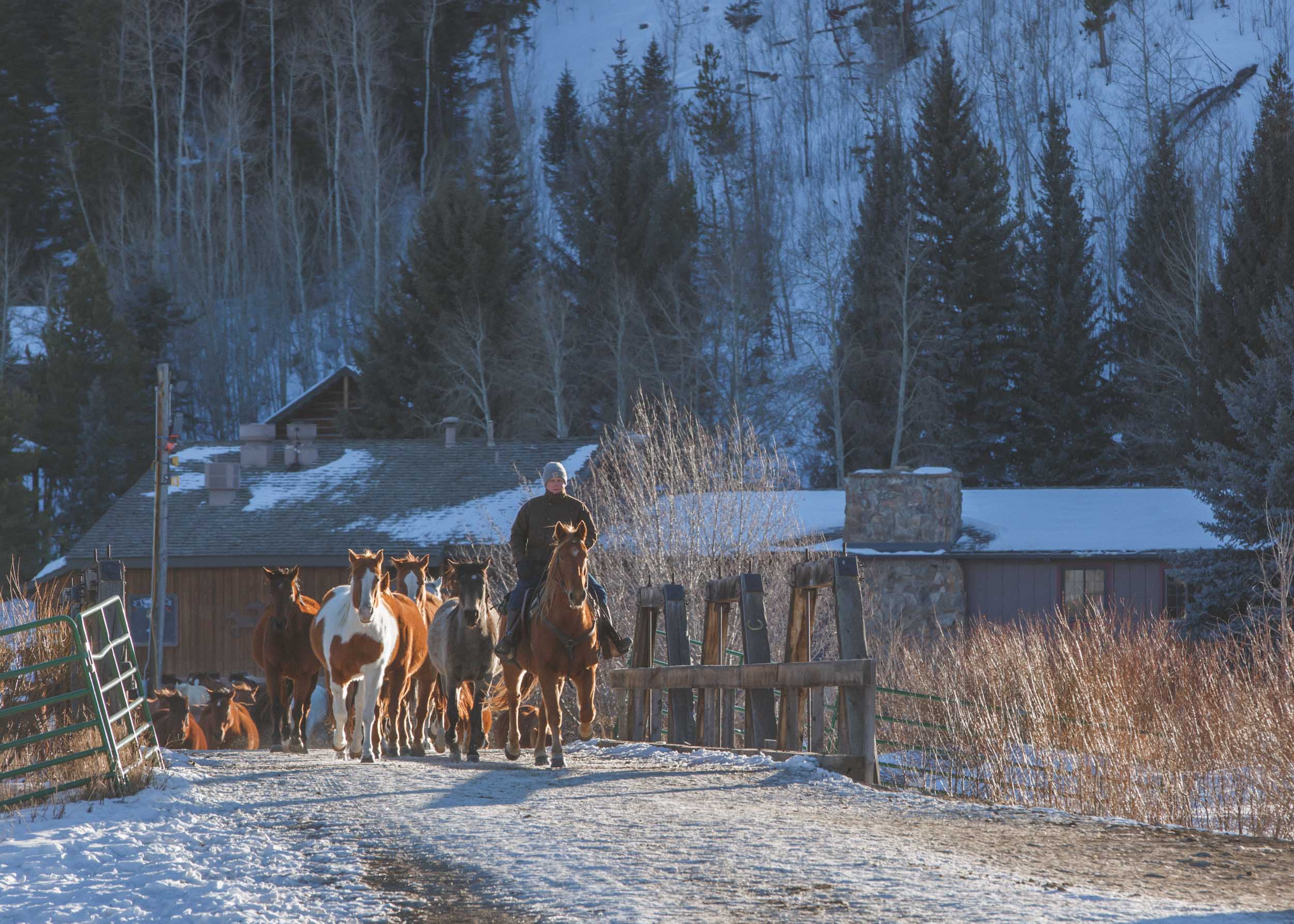 Shelby Knick_C Lazy U Ranch_-15.jpg