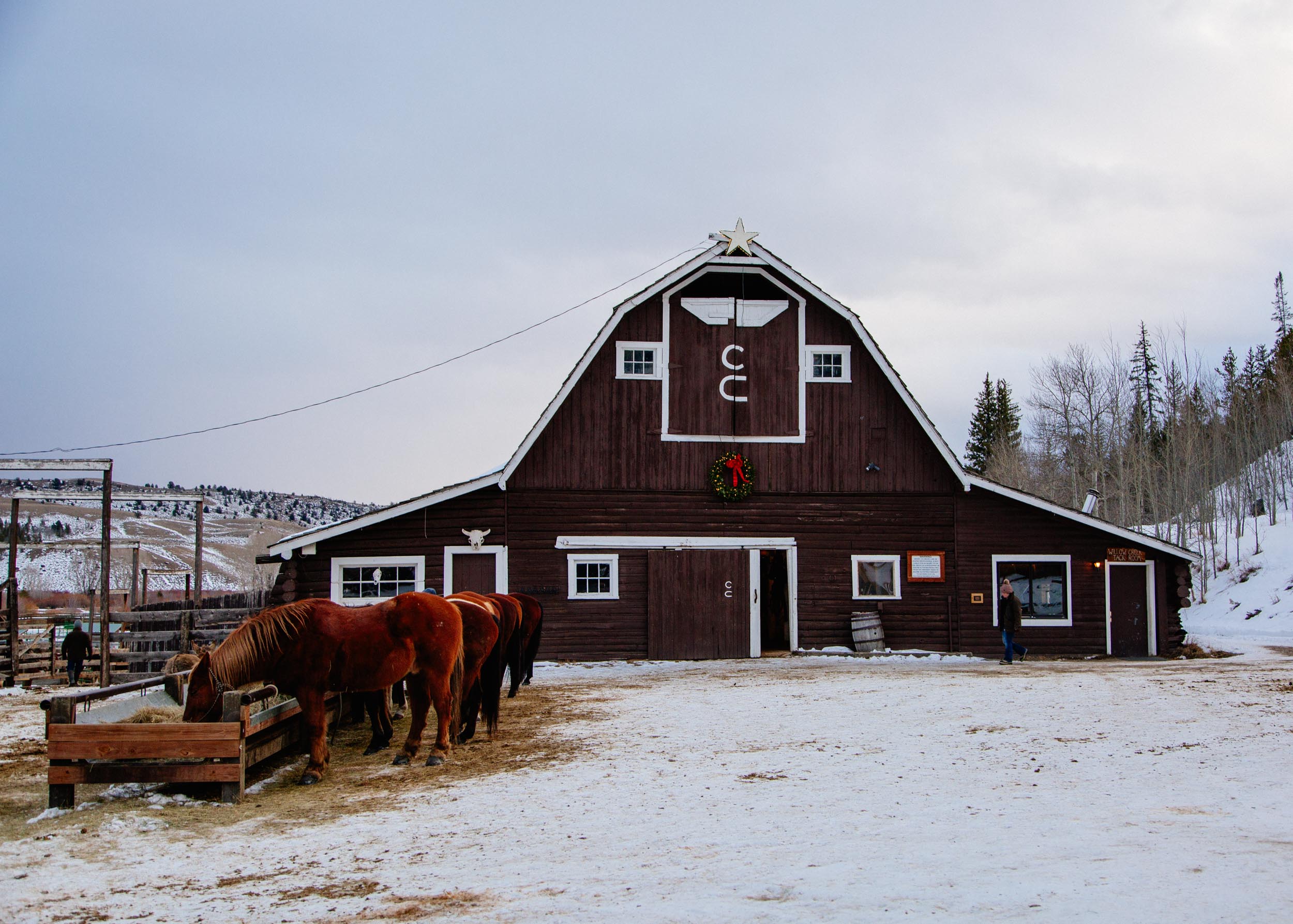 Shelby Knick_C Lazy U Ranch_.jpg