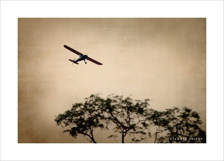 claudiaretter_flying_011.jpg