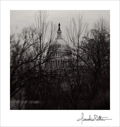 DC_005.jpg