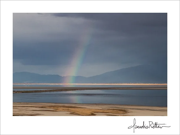 Rainbow, Antelope Island State Park
