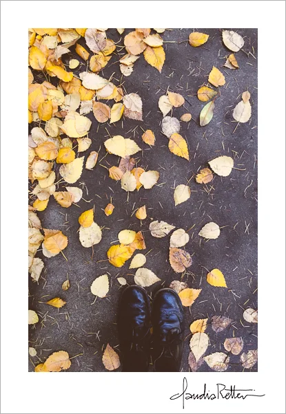 Yellow leaves