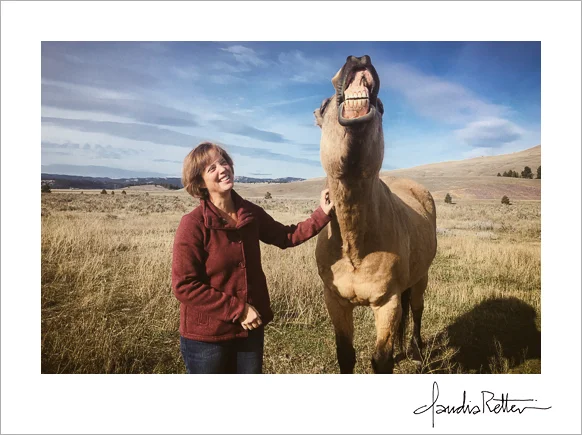 A laughing horse