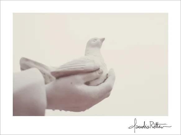 Bird in a hand