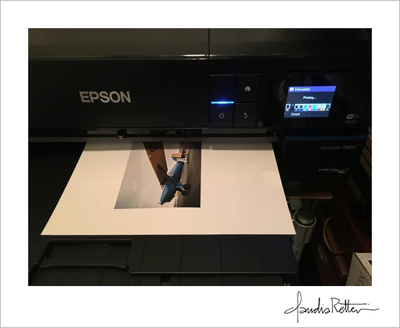 Epson P-800