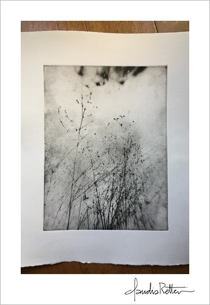 My finished print