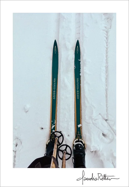 My cross-country skis