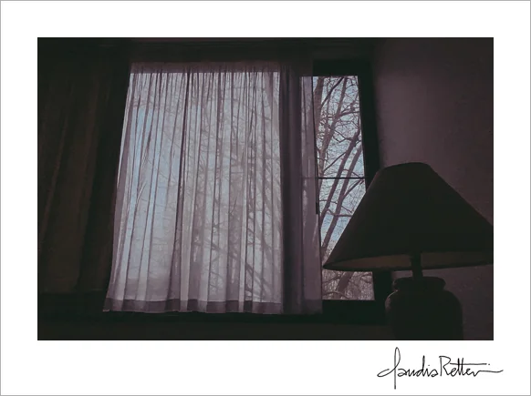 Early morning window light.