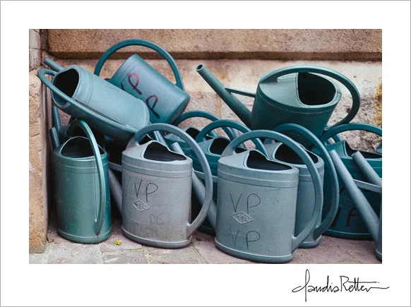 Watering cans, Montmartre cemetery