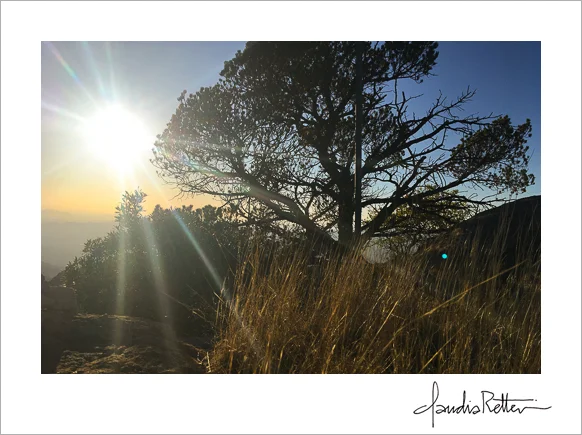 Top of the Southwest Ridge, Kitt Peak