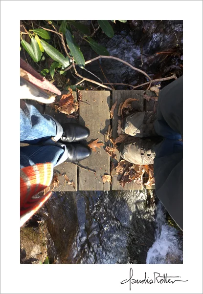 Footbridge across the creek